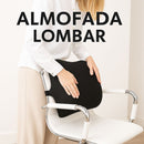 Almofada Anatômica Lombar Visco - Perfetto