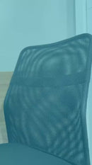 Almofada Anatômica Lombar Visco - Perfetto